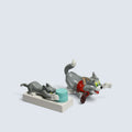 Tom and Jerry – Bundle of 2 Tom