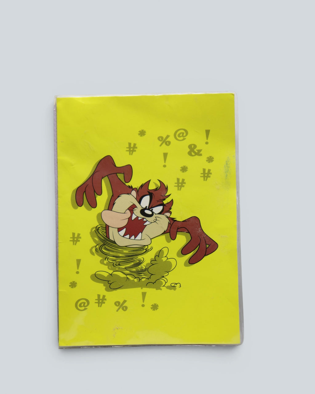 Looney Tunes Taz Tasmanian Devil Pocket Photo Album - Retro 90s Brag Book