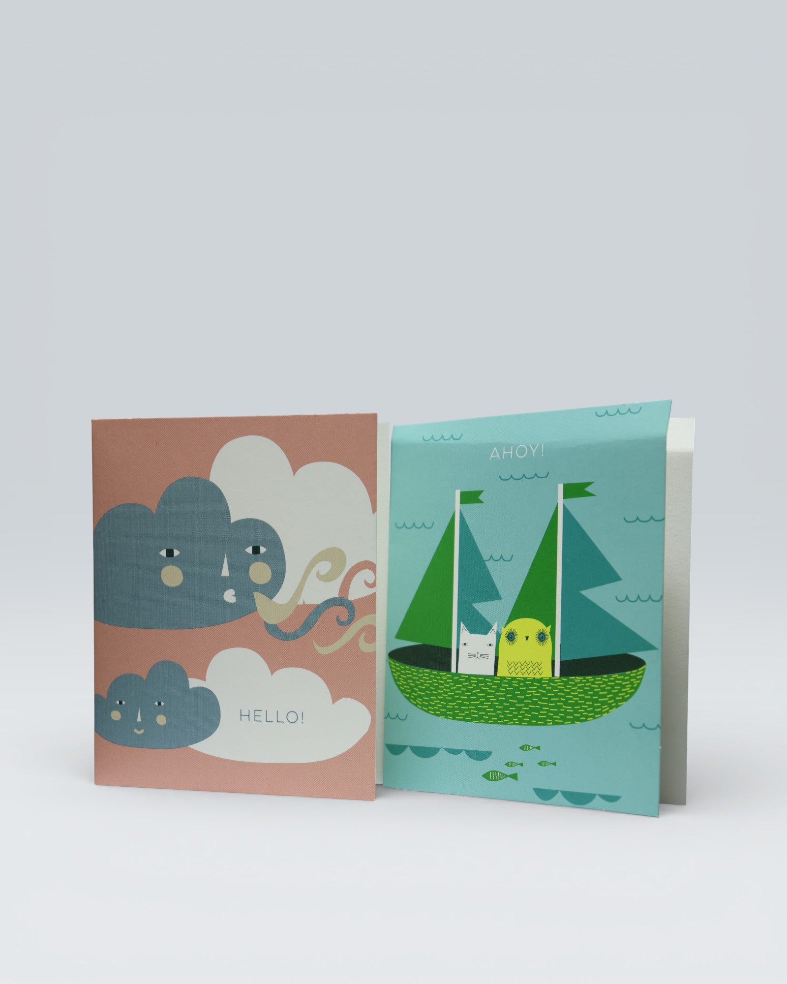 Boxed Notecard & Envelope Set - Land & Sea Notes