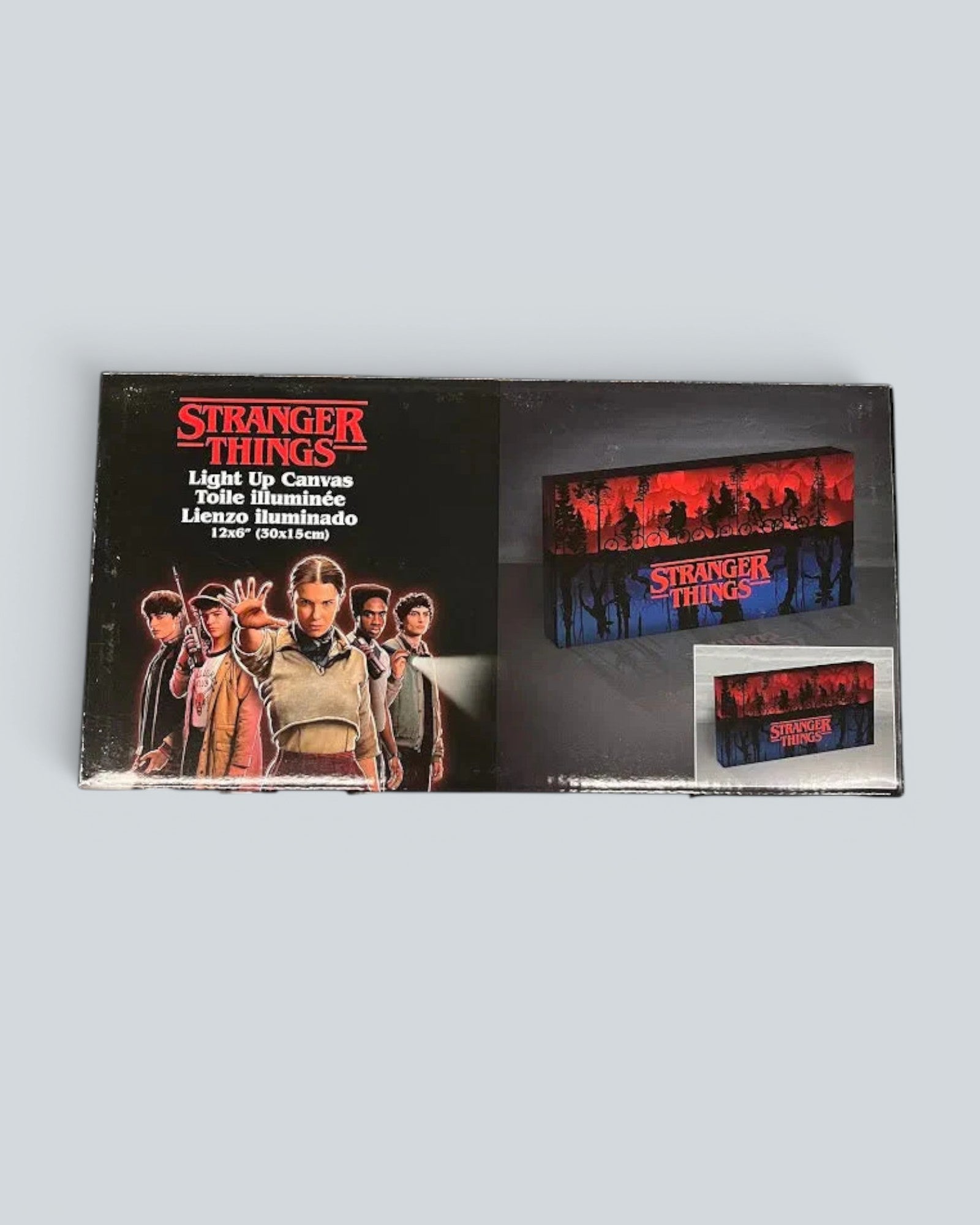 Stranger Things: LED Light Up Canvas