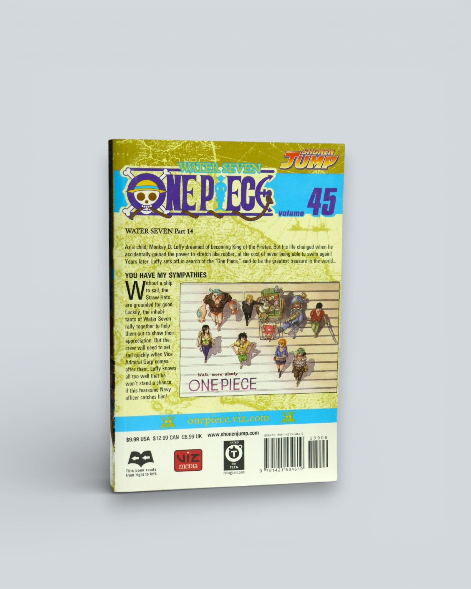 One Piece Vol. 45: "You Have My Sympathies" – Shonen Jump Manga