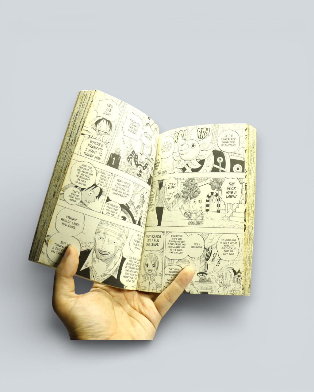 One Piece Vol. 45: "You Have My Sympathies" – Shonen Jump Manga