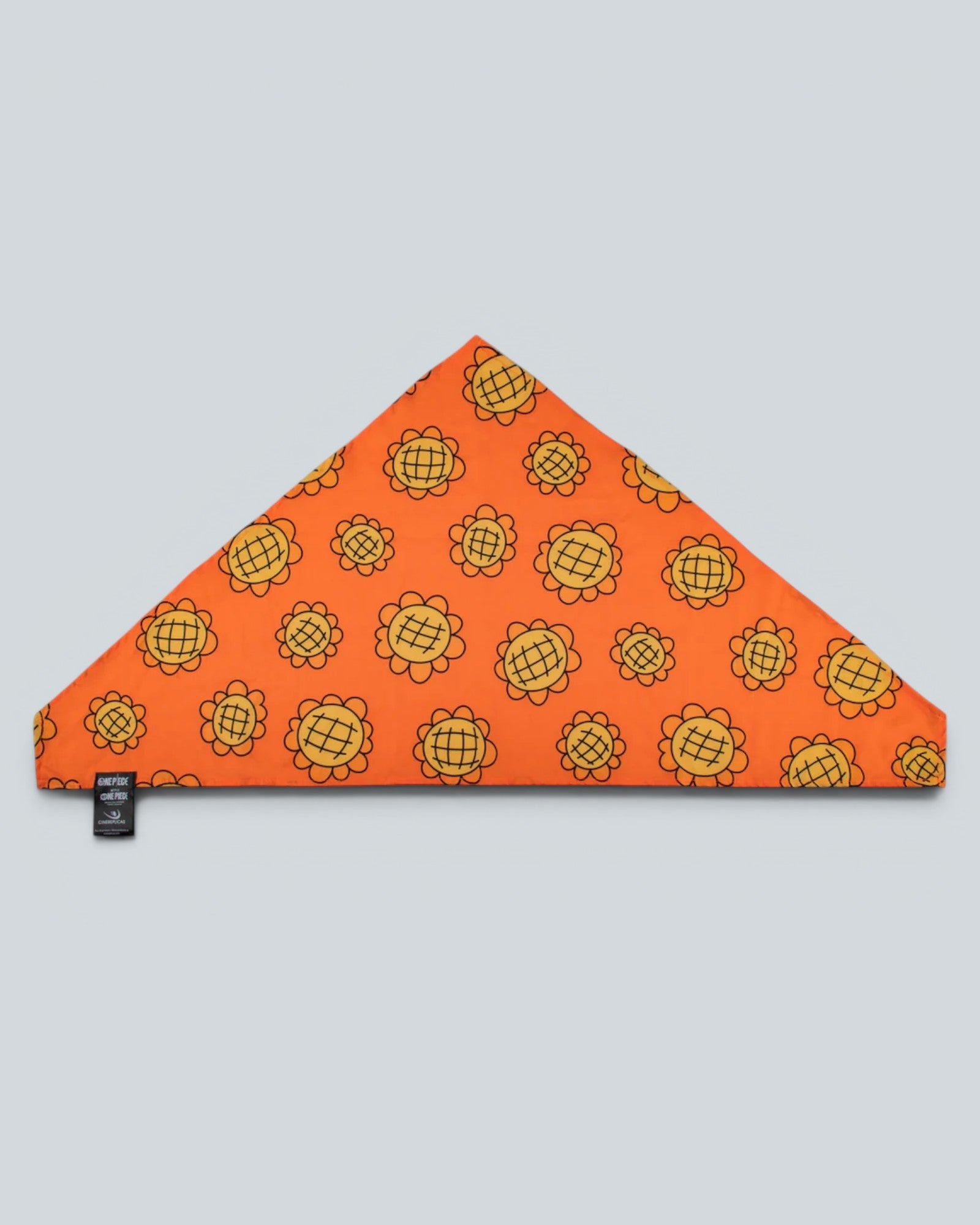 One Piece: Nami Bandana & Berry Coins Set